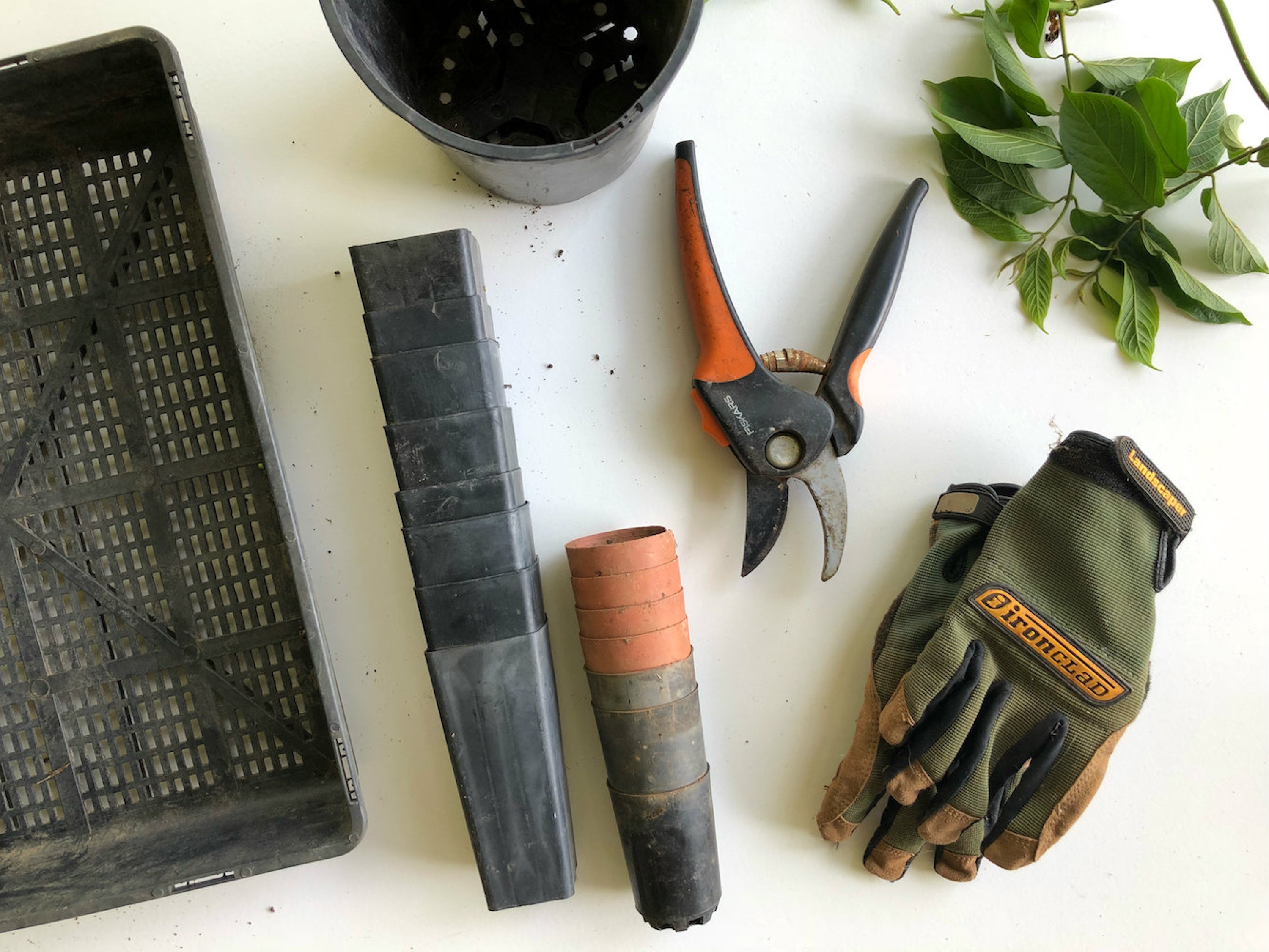Preventing Back or Knee Pains During Gardening