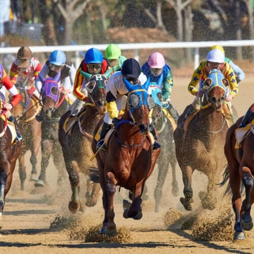 Horse Betting Tips for Success in 2022