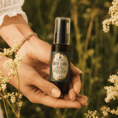 Summer Beauty Round-Up: The Cult Products Slaying the Warm Weather This Season